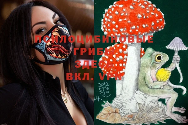 эйфоретик Волоколамск